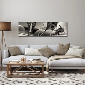 Obraz - Historyczne samoloty (170x50 cm)