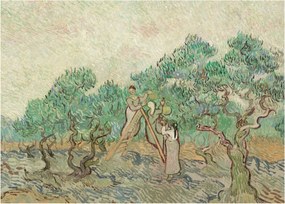Obraz - Vincent van Gogh, The Olive Orchard, reprodukcje (70x50 cm)