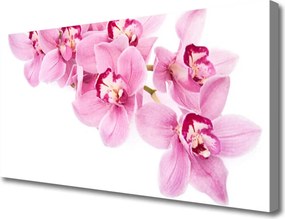 Obraz canvas Pełnia Kwiatowej Natury