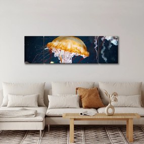Obraz meduzy (170x50 cm)