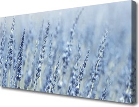 Obraz canvas Złote Kłosy na Łące