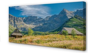 Zdjęcie na płótnie Góry, Pola i Domki