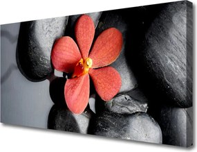 Obraz na płótnie Równowaga Zen: Kwiat i Skała