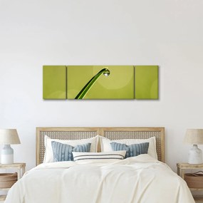 Obraz kropli wody na trawie (170x50 cm)