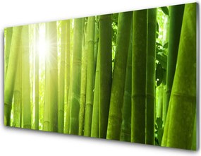 Panel Kuchenny Świeżość Zielonego Bambusa