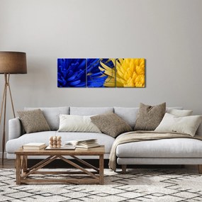 Obraz - szczegóły kwiatów (z zegarem) (90x30 cm)