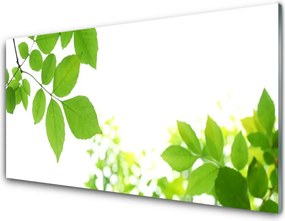 Szkło Ozdobne do Kuchni Aksamitne Płatki Kwiatowe