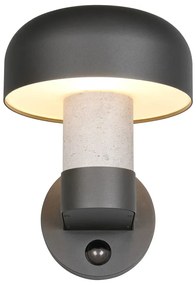 Zewnętrzna lampa ścienna (wysokość 24,5 cm) Fraser – Trio