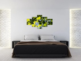 Obraz - liście klonu (125x70 cm)