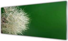 Szkło do Kuchni na Ścianę Puszysty Mniszek Lekarski