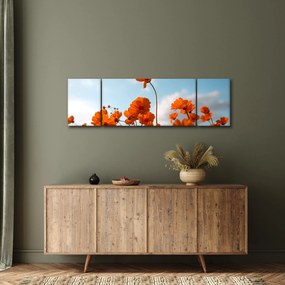 Obraz - Łąkowe kwiaty (170x50 cm)