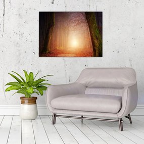 Obraz jesiennego lasu we mgle (70x50 cm)