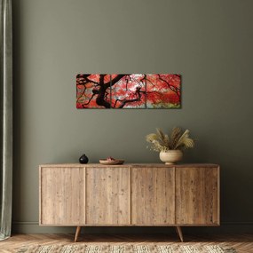 Obraz czerwonego klonu japońskiego, Portland, Oregon (z zegarem) (90x30 cm)