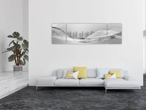 Obraz - Srebrny krajobraz (170x50 cm)
