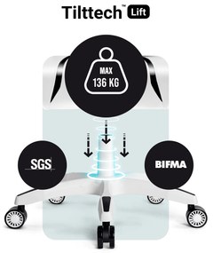 Fotel gamingowy Diablo X-One 2.0 Normal Size, biało-czarny