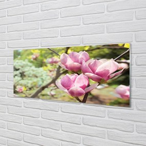 Szklany Panel Magnolia w Pełni Rozkwitu
