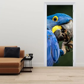 Fototapeta na drzwi - Papuga (95x205cm)