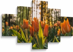 Obraz - pomarańczowe tulipany (125x70 cm)