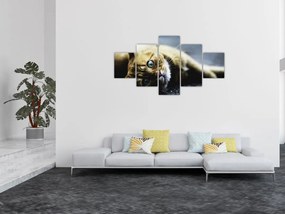 Obraz kota (125x70 cm)