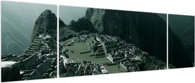 Obraz - Lamy w Machu Picchu w Peru (170x50 cm)