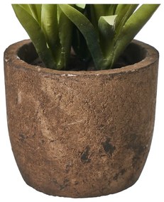 Sztuczne rośliny zestaw 4 szt. (wysokość 10 cm) Cactus – Casa Selección