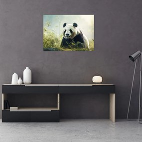Obraz na szkle - Panda (70x50 cm)