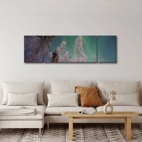 Obraz zorzy polarnej nad zamarzniętymi drzewami (170x50 cm)