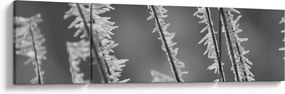 Obraz - Mroźne zimno (170x50 cm)