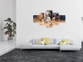 Obraz - Konie na pustyni (125x70 cm)