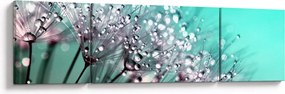 Obraz - zroszona roślina (170x50 cm)