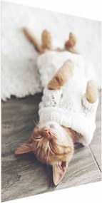 Plakat Leniwy kot 21x30 cm bez ramy bez marginesu ARTGEIST B