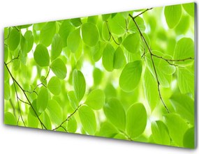 Panel Kuchenny Organiczne Formy Liści