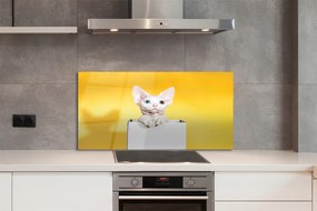 Panel szklany do Kuchni Kot w Oczekiwaniu