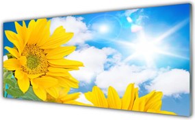 Szkło nad Blatem Kwiatowy Ornament Ścienny