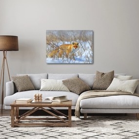 Obraz - Lis (70x50 cm)