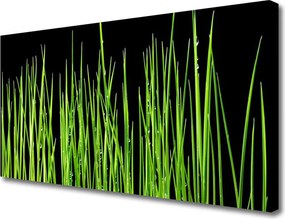 Fotoobraz na płótnie Naturalna Tekstura Trawy