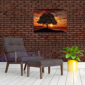 Obraz na szkle drzewa o zachodzie słońca (70x50 cm)