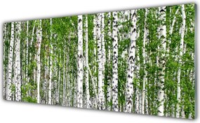 Panel Szklany do Kuchni Świetlisty Las Brzozowy