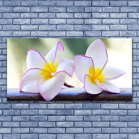 Obraz Canvas Kwiaty Płatki Plumeria