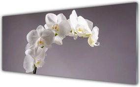 Panel Szklany Harmonijna Natura w Kwiatach