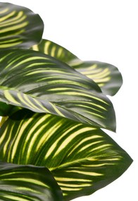Sztuczna roślina CALATHEA ORBIOFIOLIA, 37 cm