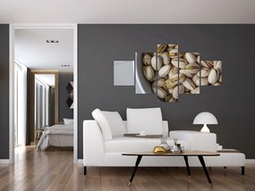 Obraz - pistacje (125x70 cm)