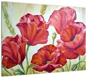 Obraz - Kwiaty maku (70x50 cm)