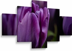 Obraz kwiatów tulipanów (125x70 cm)