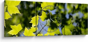 Obraz - liście klonu (z zegarem) (90x30 cm)