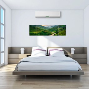 Obraz - Tarasy ryżowe II. (170x50 cm)