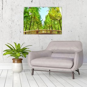 Obraz - Widok na las (70x50 cm)