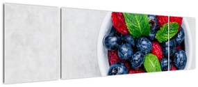 Obraz- miska z leśnymi owocami (170x50 cm)