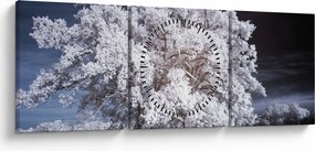 Obraz - Śnieżnobiałe drzewo (z zegarem) (90x30 cm)