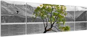 Obraz drzewa na środku jeziora (170x50 cm)